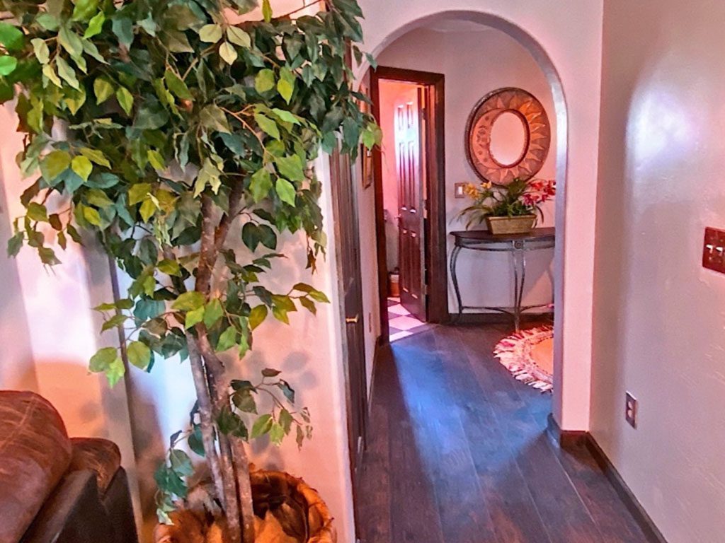 A hallway with a plant and mirror in it