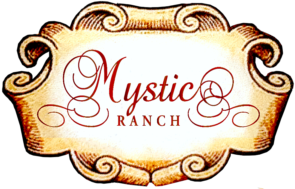 A picture of the mystic ranch logo.